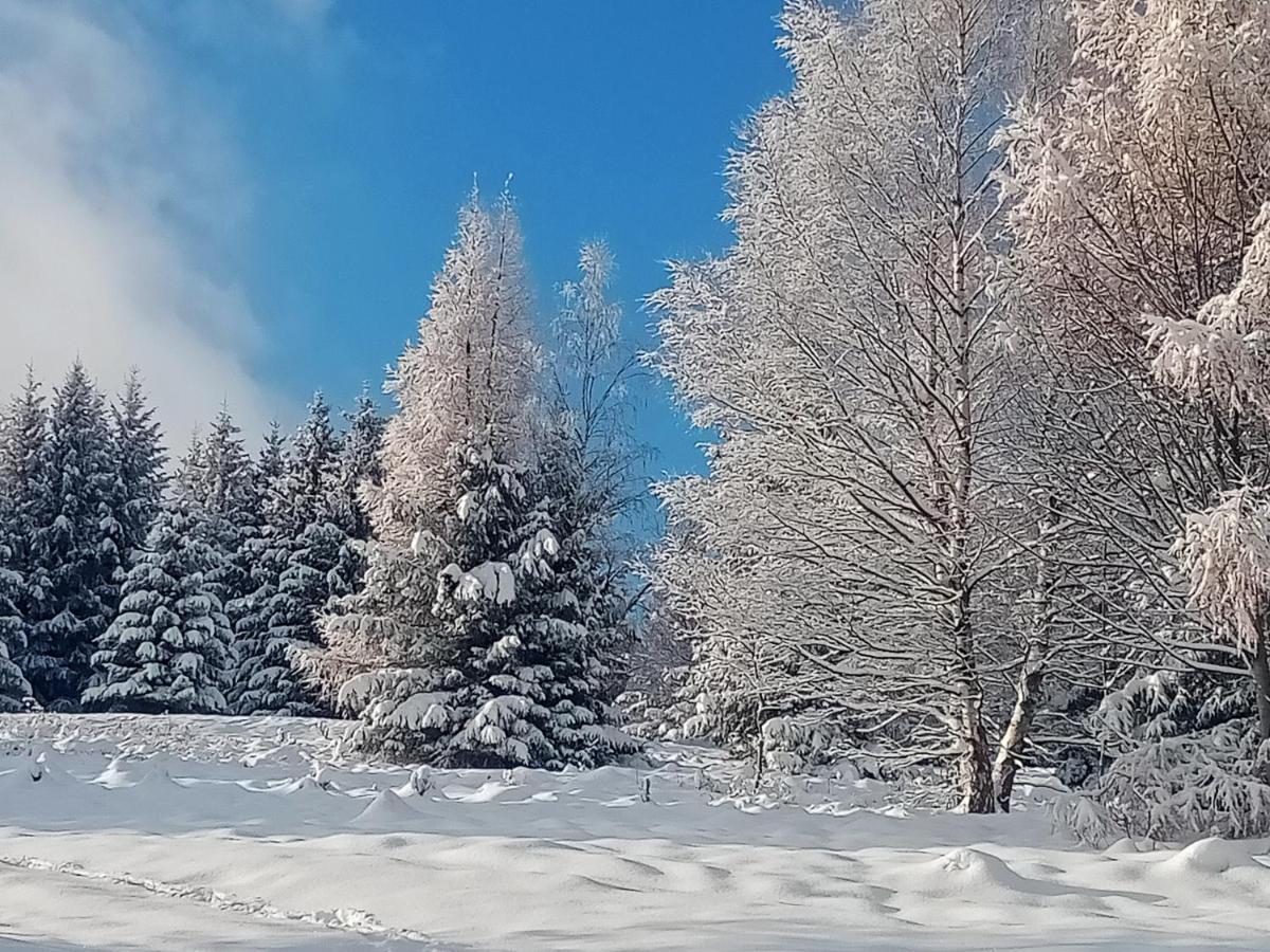 Natura Świeradów-Zdrój Zewnętrze zdjęcie